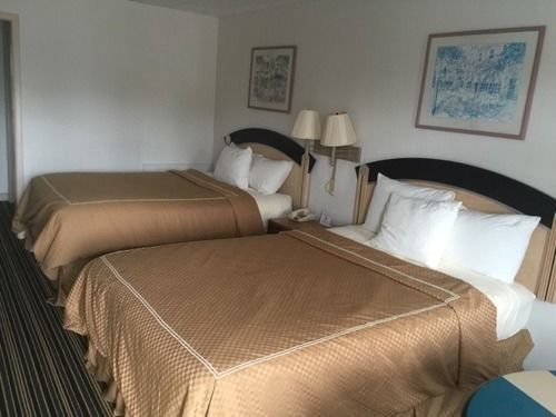 Motel Scottish And *